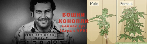 прущие крисы Володарск