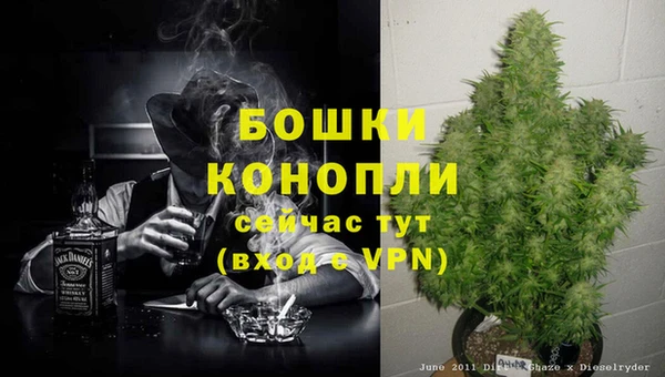 амф Туринск